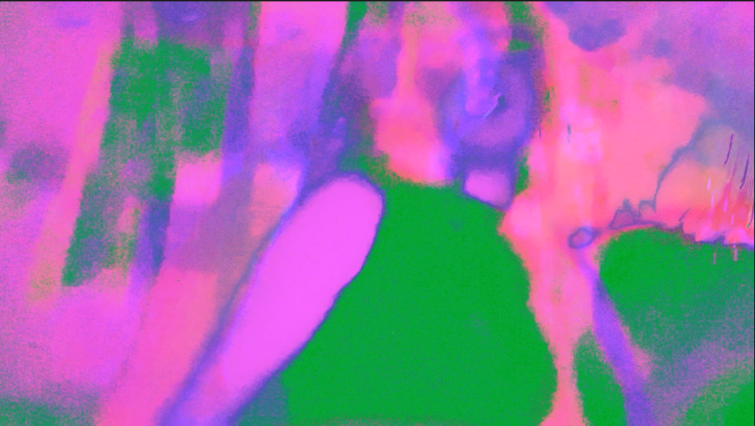 me in neon pink and green, blurry